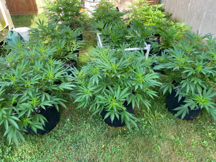 83C063CE-90AE-4271-B313-58F9019EA221