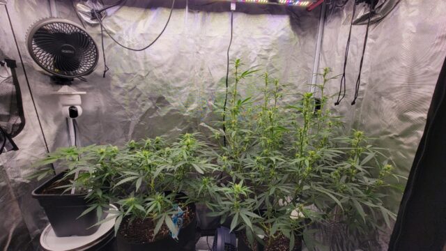 63dd977f-763e-48ff-9c0f-63f831e7b2f3