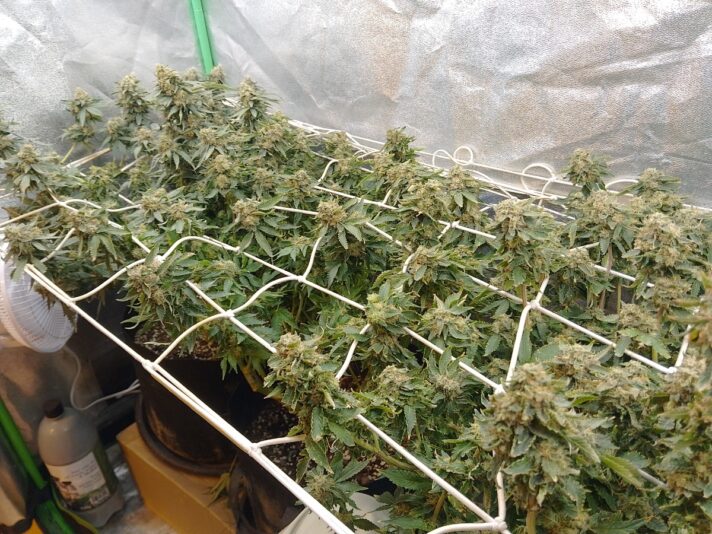 48778eb5-c8ca-4472-94e3-528b426d978b