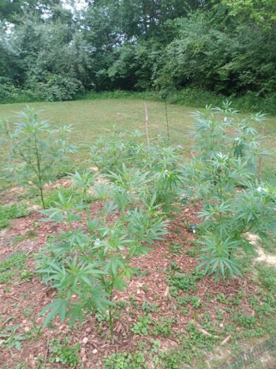 0c9a075f-fe3d-4209-bc0c-ecad99b76321