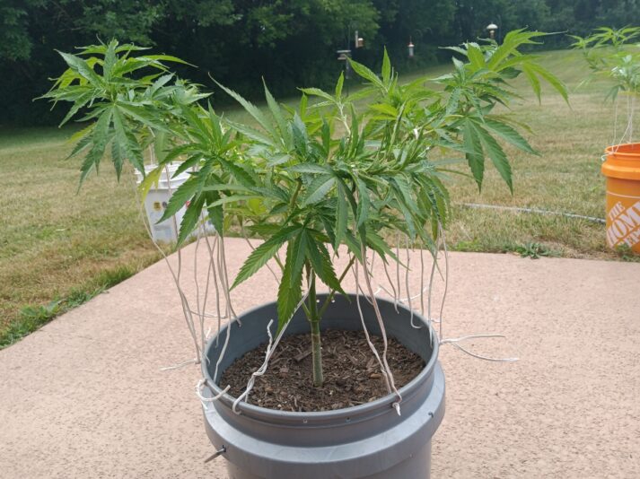 ada49f7f-dd32-4d56-9e67-c10dd0cbbdbc