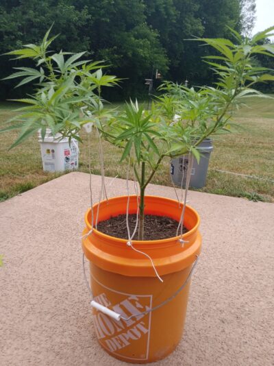 bb315854-51fa-4640-beec-bacbf96a284b