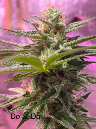 E3E88C16-FE4C-4369-BFB0-1E4D477007C6