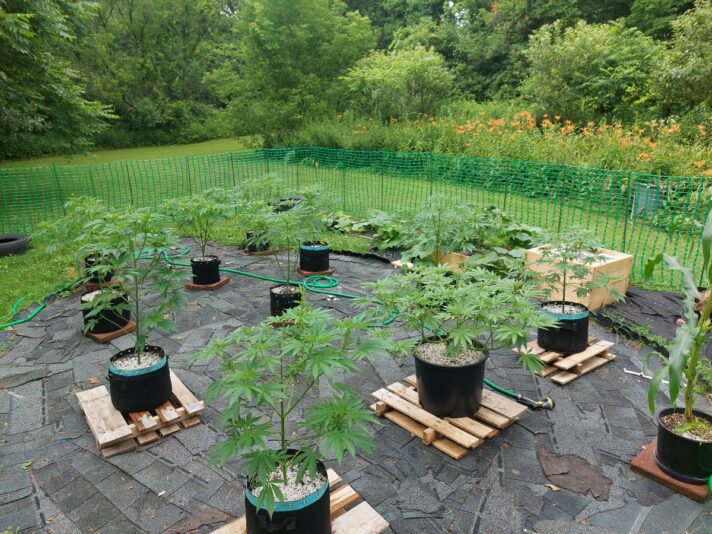 5768a103-d595-4bb5-98d0-b408dbc5dbb3