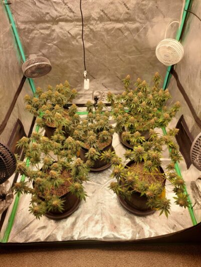 762db1f4-b25b-4024-b60d-3f9060198ba8