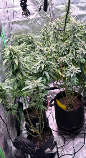 1A45C9DF-2AC2-4373-8CAF-845F851617A0