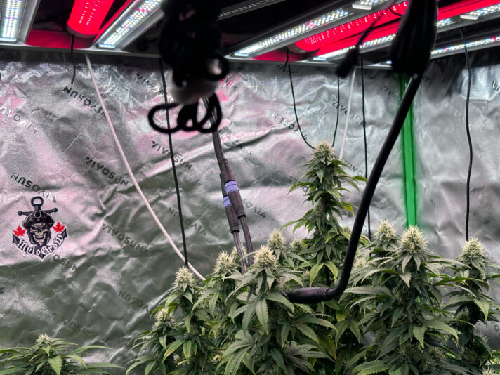 B1F0079D-24C7-4551-95D4-A5231061EE37