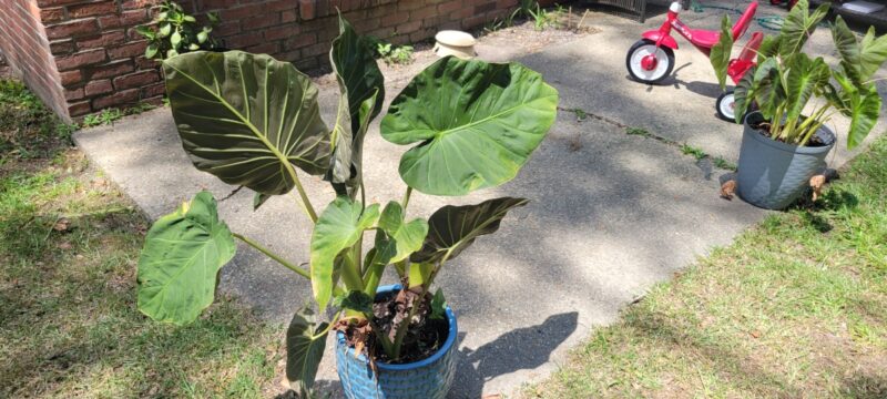 73f7940d-2ad1-4c82-a81a-612267a89de2