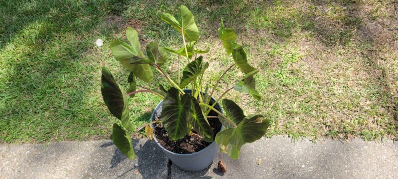 771afbf9-d197-4a36-bfc3-c2569475bf87