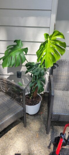 573c6741-38d6-4993-88fb-e287db6a9f64