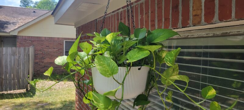 53dabd9e-3f6c-4856-a821-21edd2a2f08c