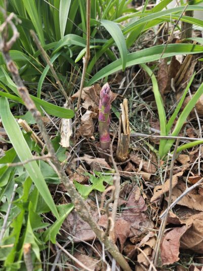 e5a9c085-eb2e-4243-9b8a-ffdcedce1987