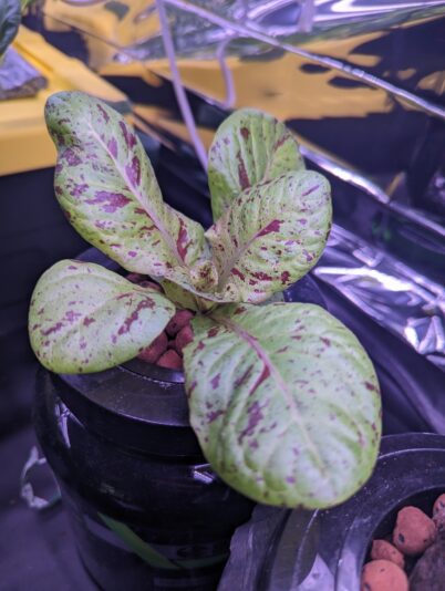 0b1287e2-04b8-4d17-91ce-966cfeb162b2