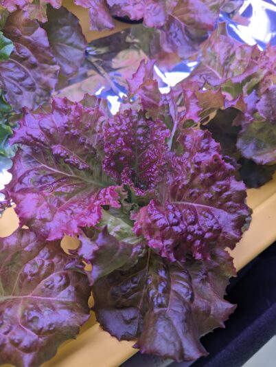 3d3ca4ed-e702-48b0-a6ee-94763bcbda01