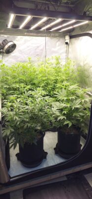 849f2e86-dc5d-4c98-afec-ed7da01d17a6