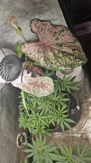 da600ea7-5d14-414c-88de-8a0472b741d4