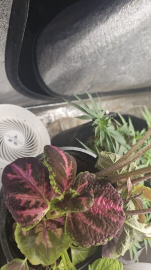 ed87a1dd-4420-4eed-951b-31fea023bbef