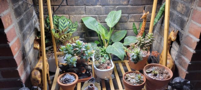 f5cf00a4-0cfd-439d-bd22-980fcee388eb