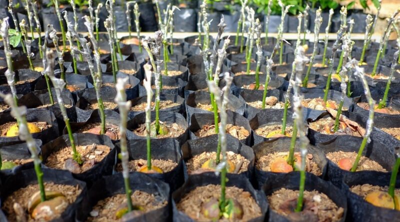 D90F9A86-A876-4E96-8418-083FF9FD3996