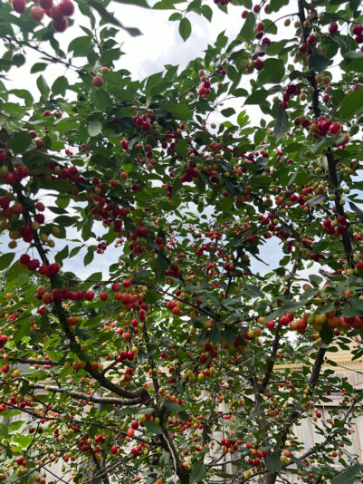 2C897494-335D-4730-AE9A-4F8583126B96