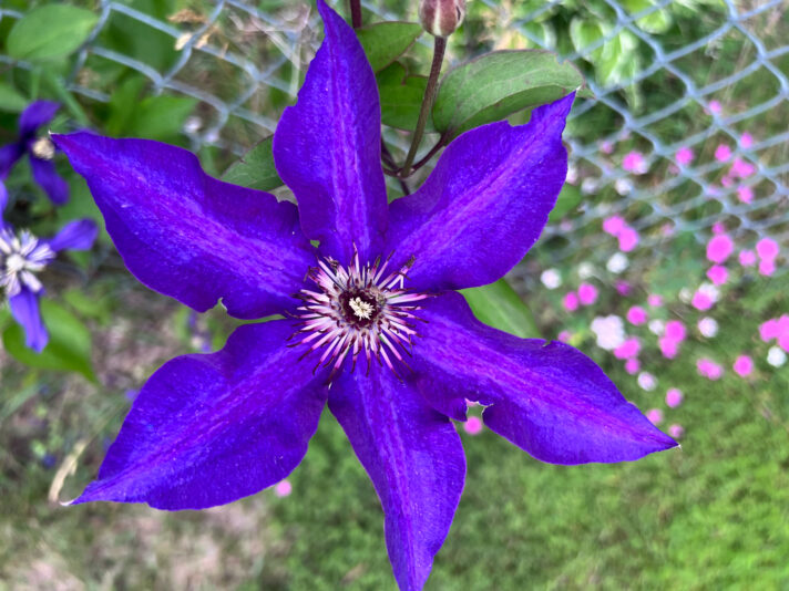 7C67AFBC-5C7E-4A01-A18F-201EDDBC3E2B