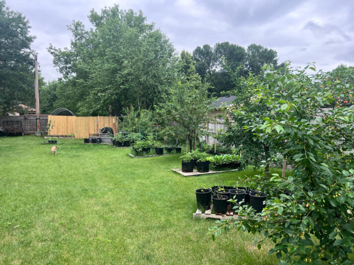 4E2FC84C-6E45-4DCC-A7F4-8863EEFABD32