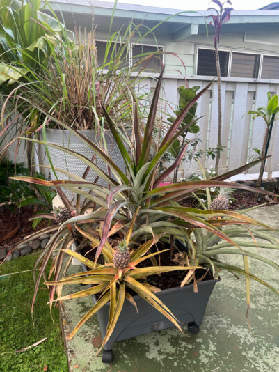 0C0C406E-EEC0-445A-B6CB-033B2D05992C