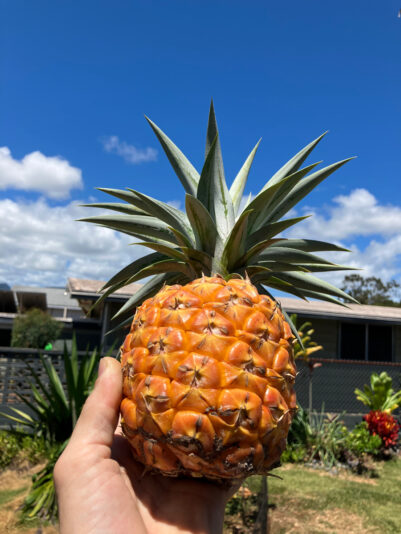 833B7D4F-52FC-4A25-9169-58B1BD428248