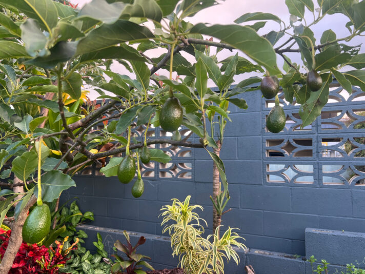 D1FDE393-BE56-4BF7-A67E-0DD398D42709