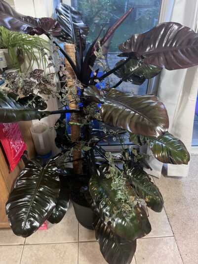 24A382DC-C2EF-4732-90CA-44A380C9E221