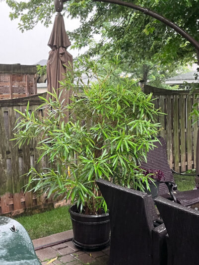 C07B3943-90F8-4CA7-8B6D-8E2FC697DDDD