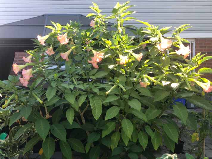 E27B9574-87EA-489A-80AF-03A9E665AE20