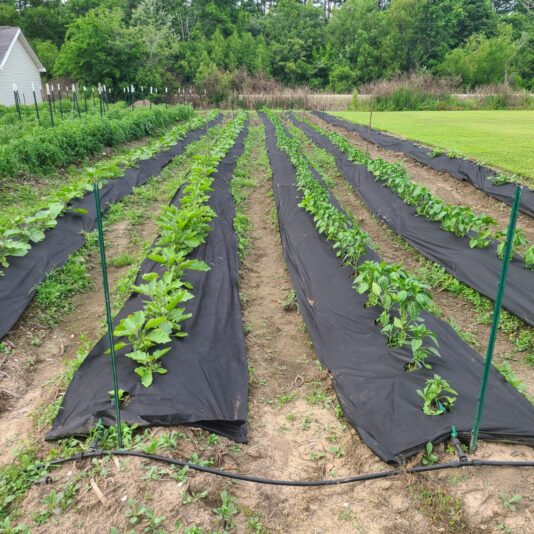 45f6bc65-5913-4396-b4f4-b57d00d668db