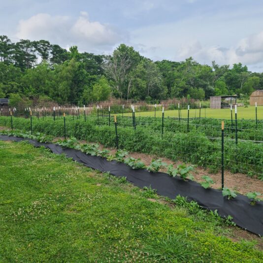 fda2ab79-e8c4-4db6-863f-7efdcb85d9d9