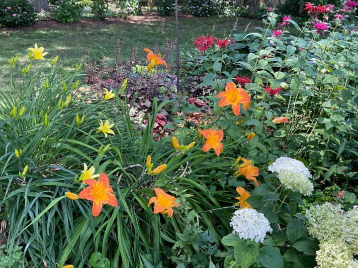 8C2A82C3-759B-4C17-84F4-6DFBBD26C8DB