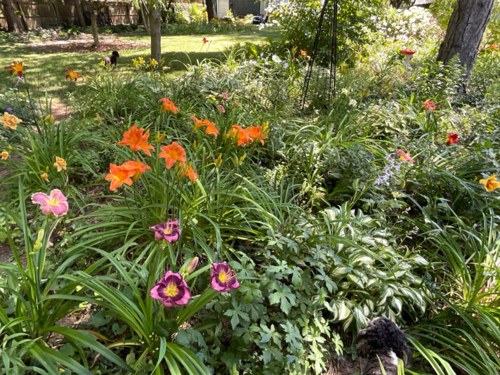 C6079984-DCC0-412D-A1A8-5A15C8F7D63A