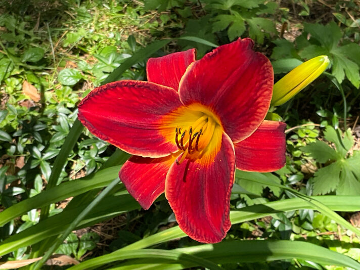 FDB26EE0-C3F9-4CF8-BDDB-4CC35EAFCA97