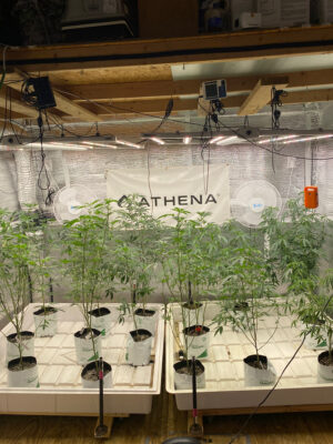 0C749799-FF7B-4786-ABDC-ABC4024B30D5