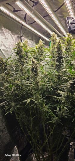 551b54bd-cac2-4bc2-b490-50152bfbb69d