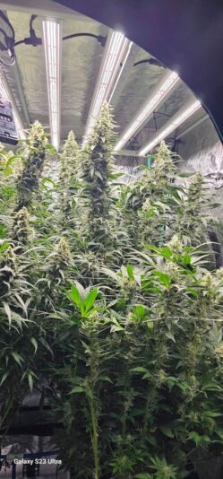 464b1037-c96f-42a2-8c51-3d6d363617c9