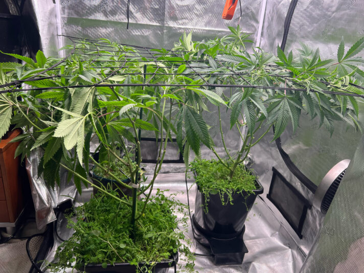 749E6EDF-A008-48DC-9E9F-C2CA3D895E95