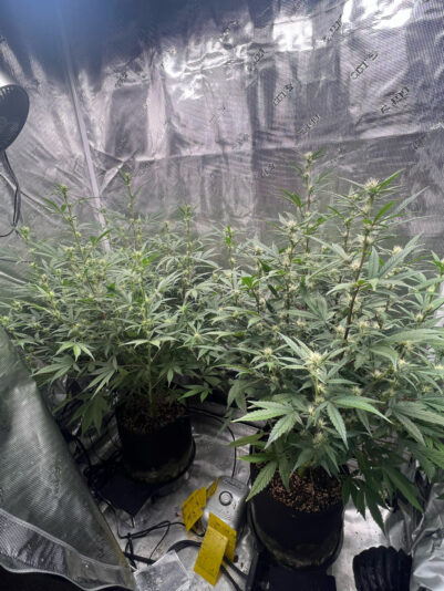 F8BC636D-1598-4352-80C5-FCB671FC6648