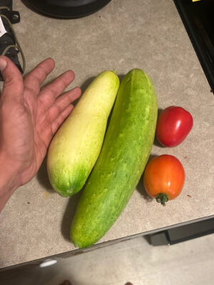 839A2A2E-A5E9-4067-9414-A02B4B5ACEE2