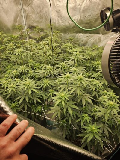 6a51c615-cc22-4790-a759-19d4237f6580