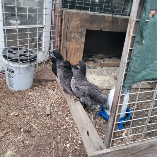 d3b61dbb-68ef-4dc1-a9cb-f240e5105d7e