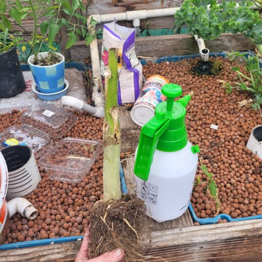 6ded92ad-9c80-471f-a472-5ed1006da6d4