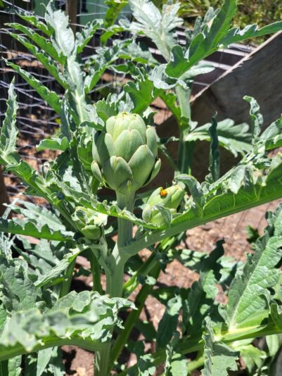 be50297c-ea9f-4f5b-becc-ec7a27ec867a