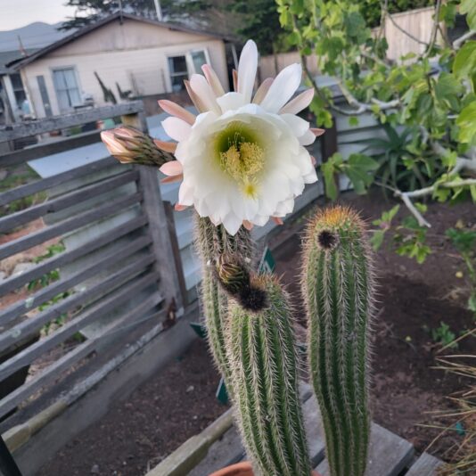 df81a7c2-4a44-4fc1-afa7-484fd62f5322