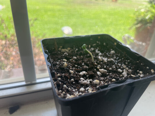 1CE8560D-E048-4029-B7BC-76D0407734C1