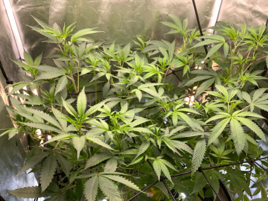 9CDBCE3A-4C44-4DB0-A521-CA5E8913EFC0